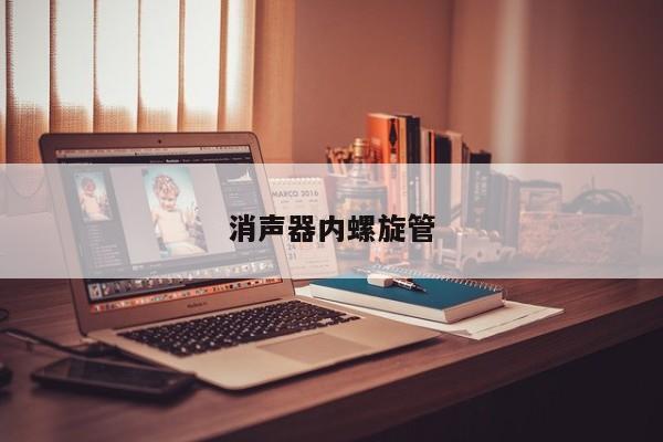 消声器内螺旋管