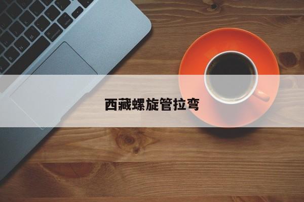 西藏螺旋管拉弯